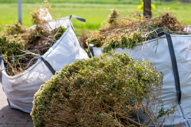 Best Household Junk Removal  in Hammond, LA